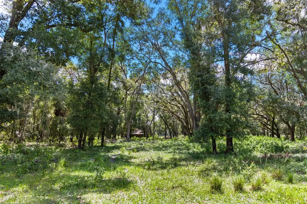 14765 Us Highway 41 Spring Hill FL 34610