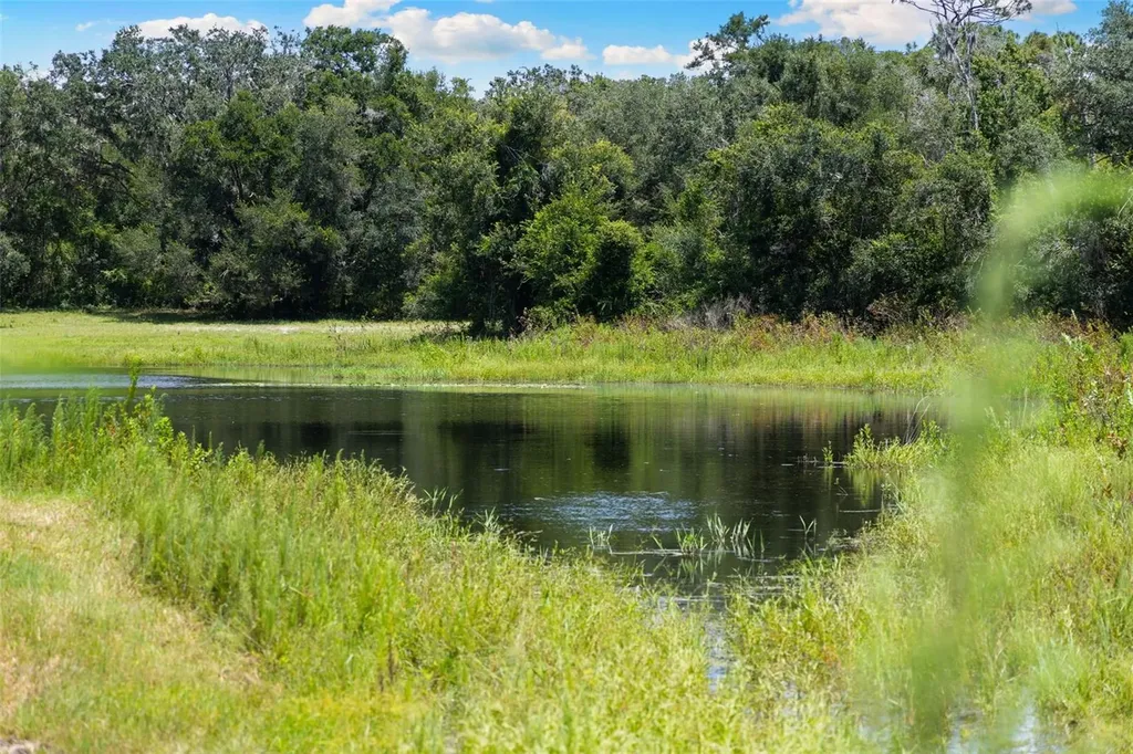 14765 Us Highway 41 Spring Hill FL 34610