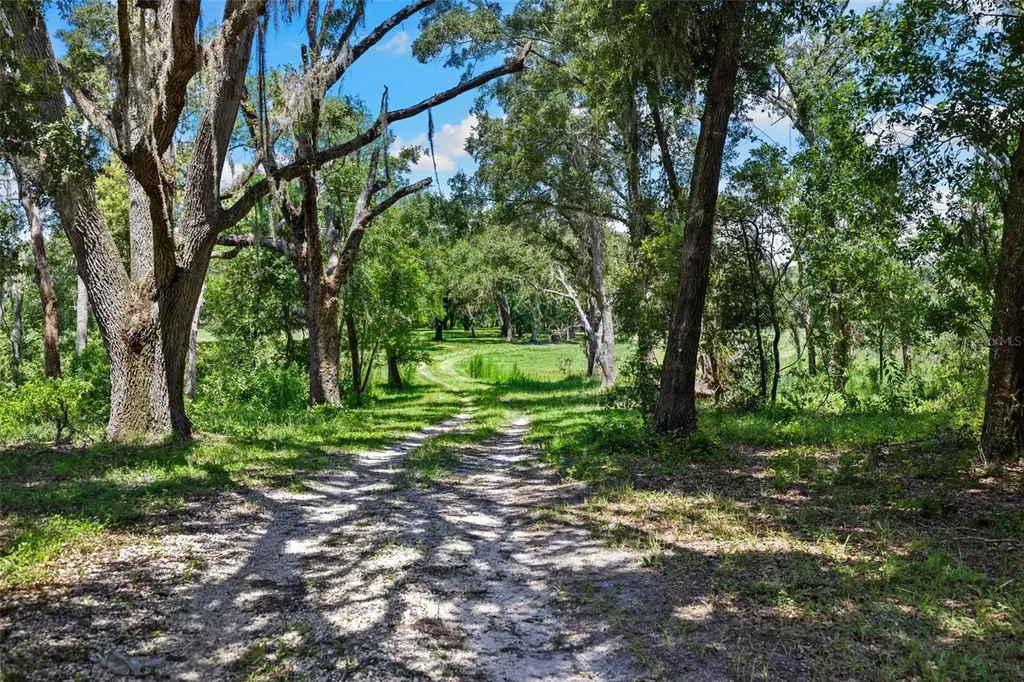 14765 Us Highway 41 Spring Hill FL 34610