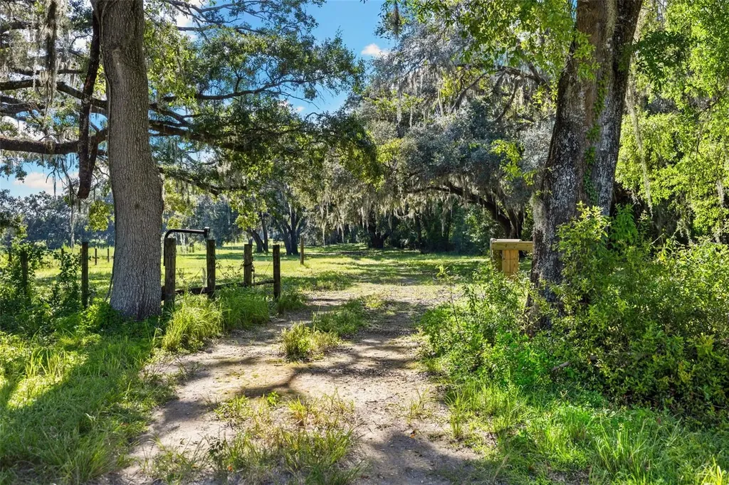 14765 Us Highway 41 Spring Hill FL 34610