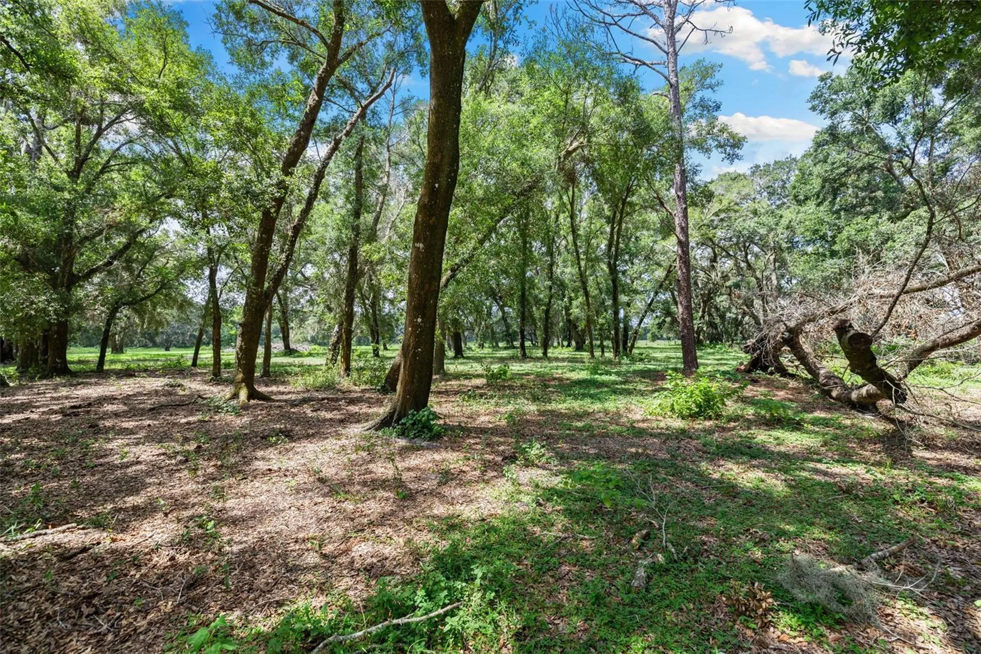 14765 Us Highway 41 Spring Hill FL 34610
