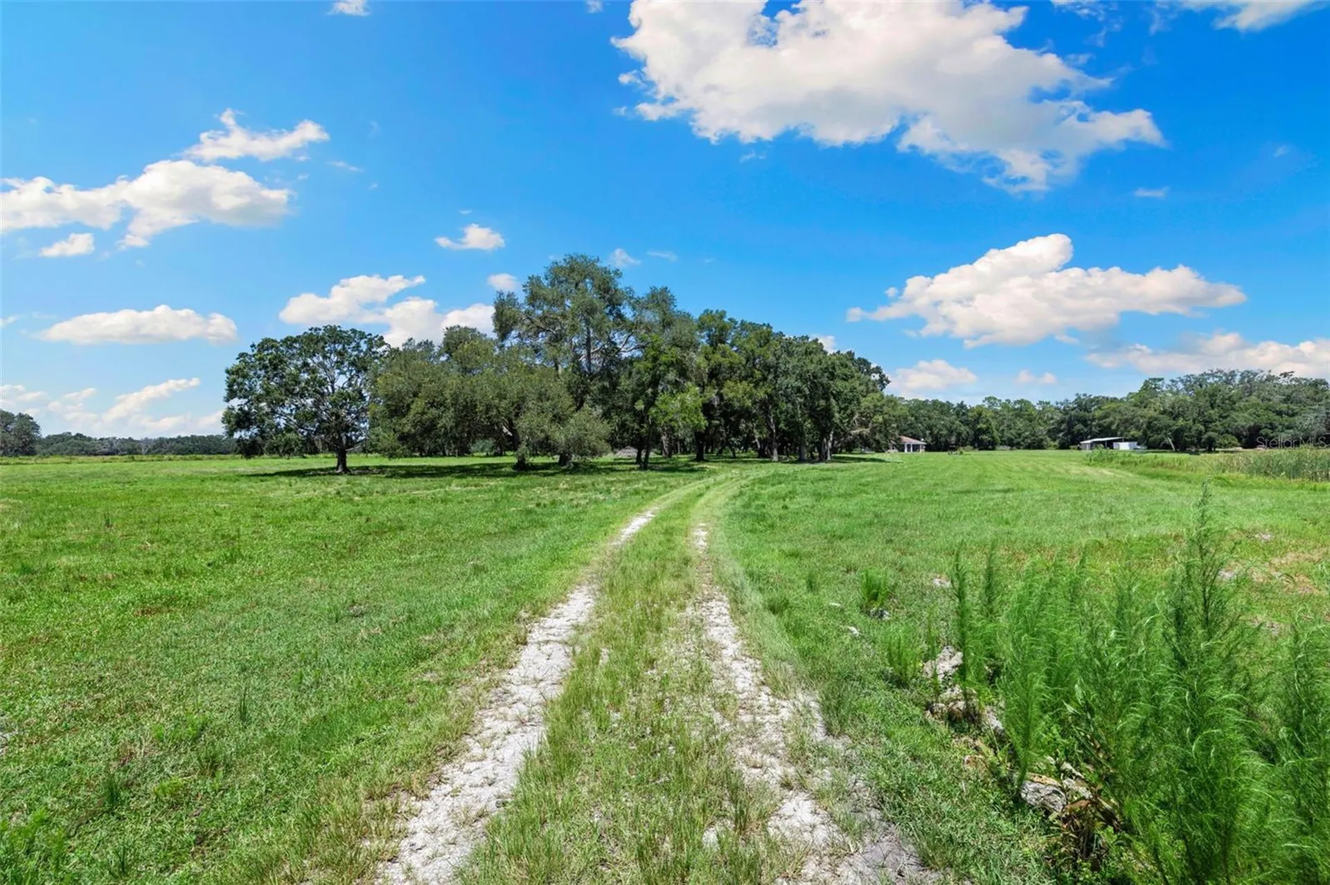 14765 Us Highway 41 Spring Hill FL 34610
