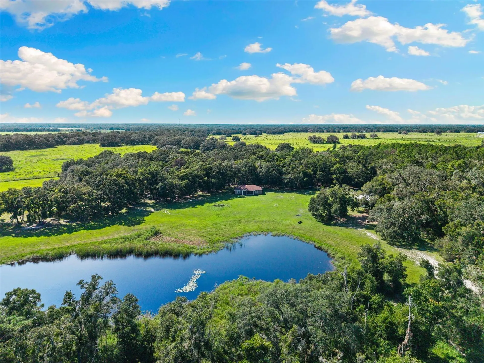 14765 Us Highway 41 Spring Hill FL 34610