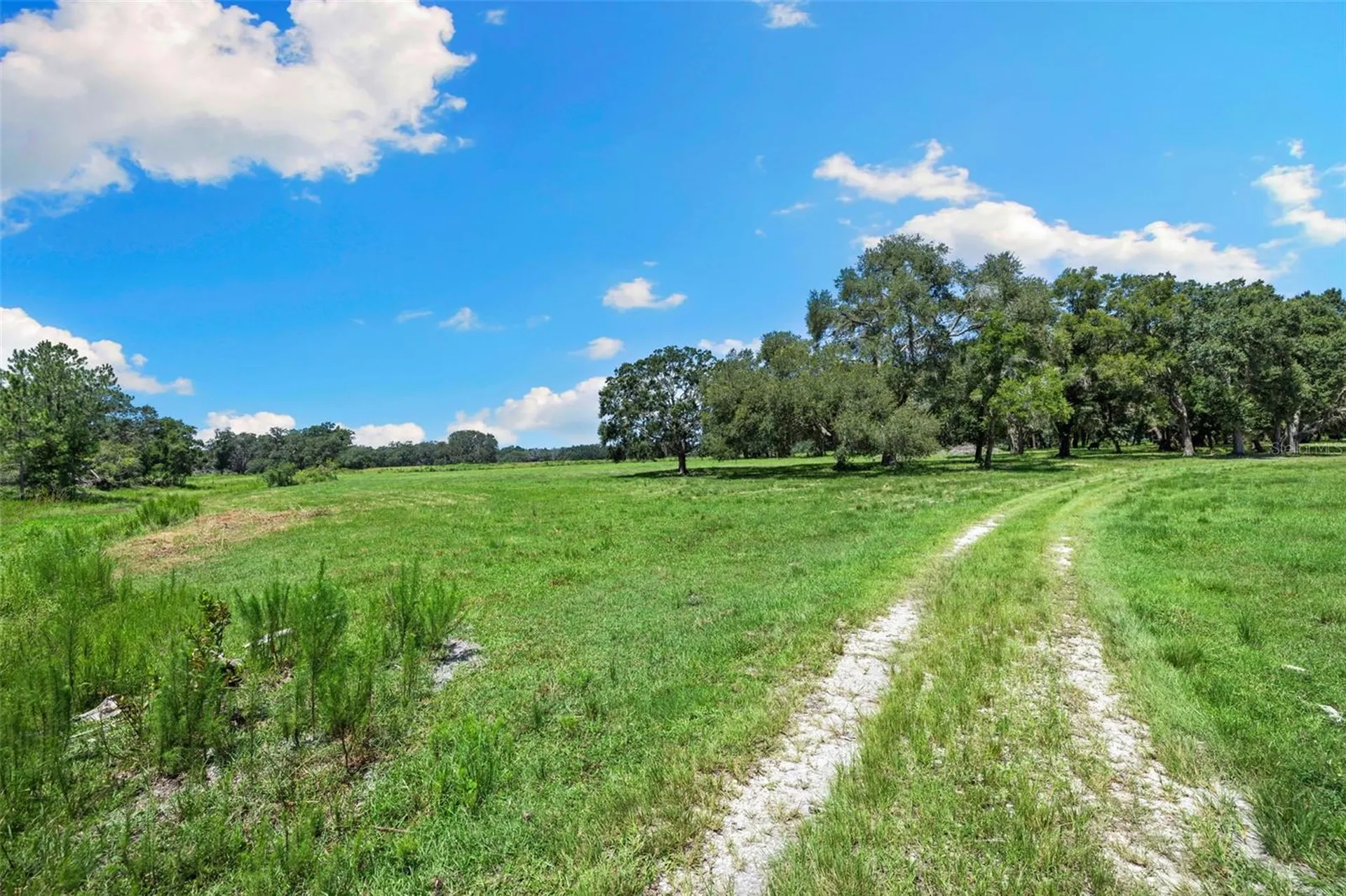 14765 Us Highway 41 Spring Hill FL 34610