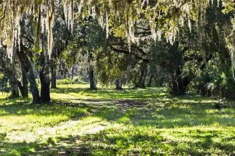 14765 Us Highway 41 Spring Hill FL 34610