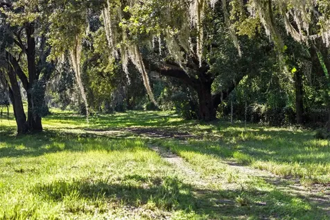 14765 Us Highway 41 Spring Hill FL 34610