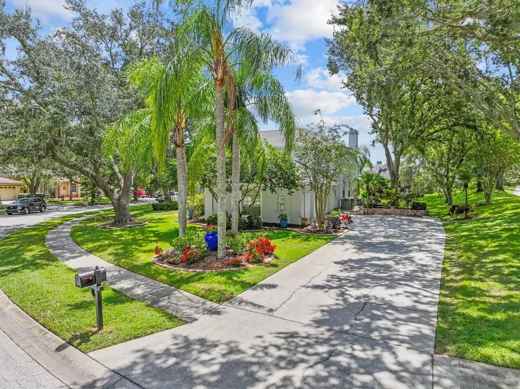 2328 Warwick Drive Oldsmar FL 34677