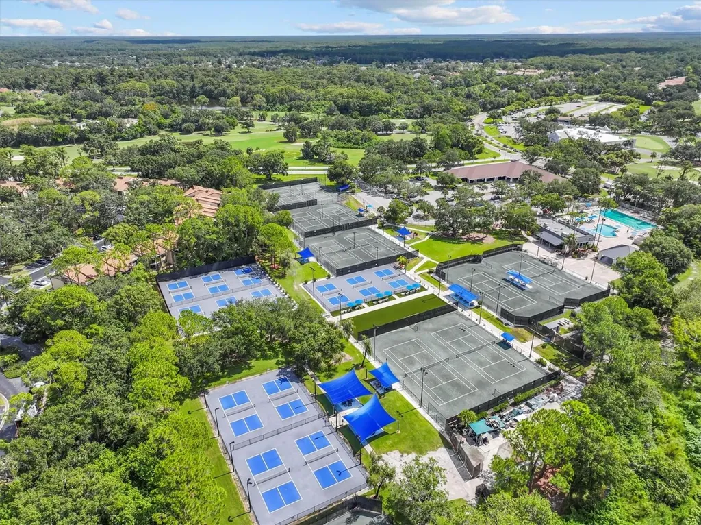 2328 Warwick Drive Oldsmar FL 34677