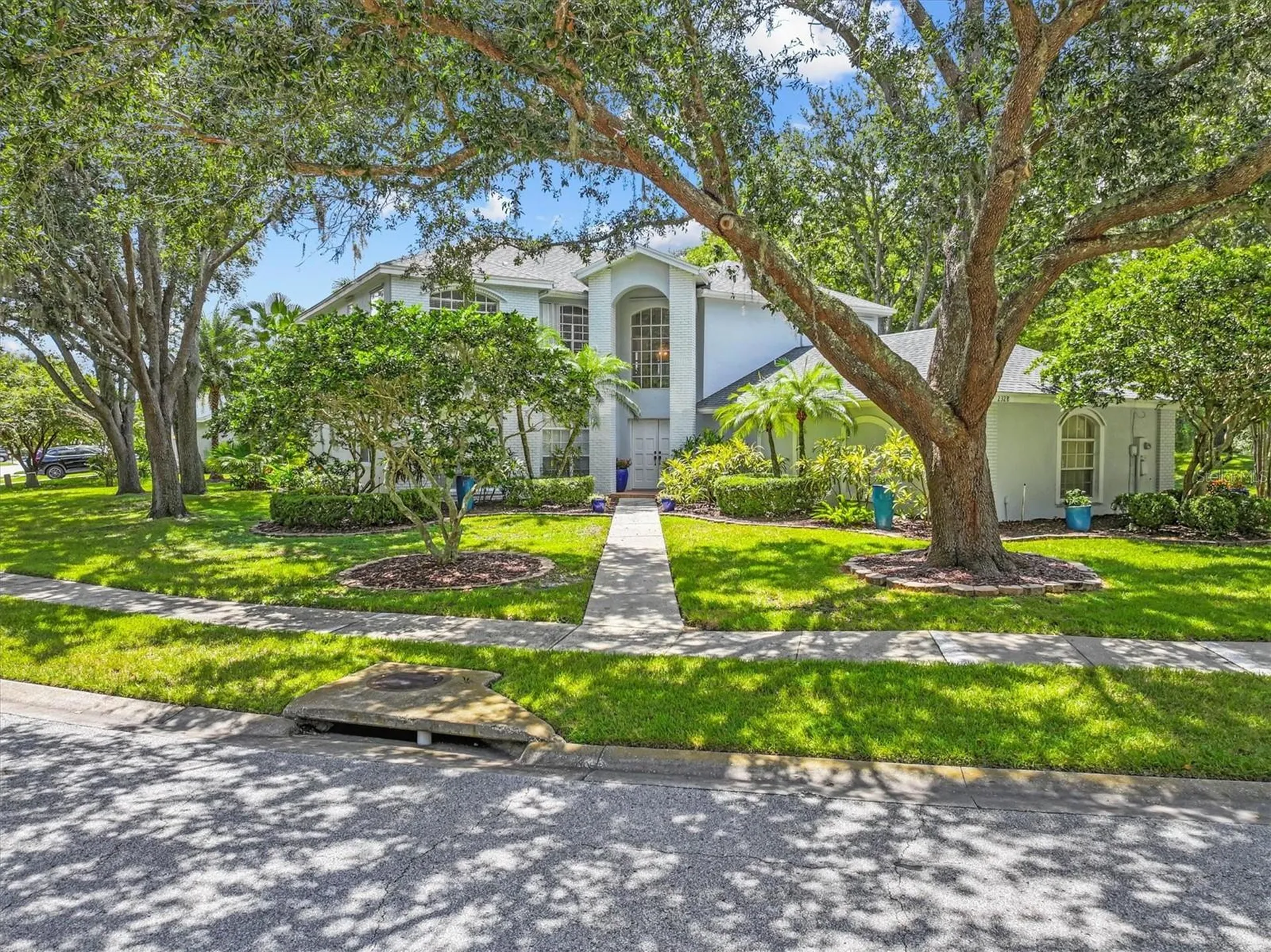 2328 Warwick Drive Oldsmar FL 34677