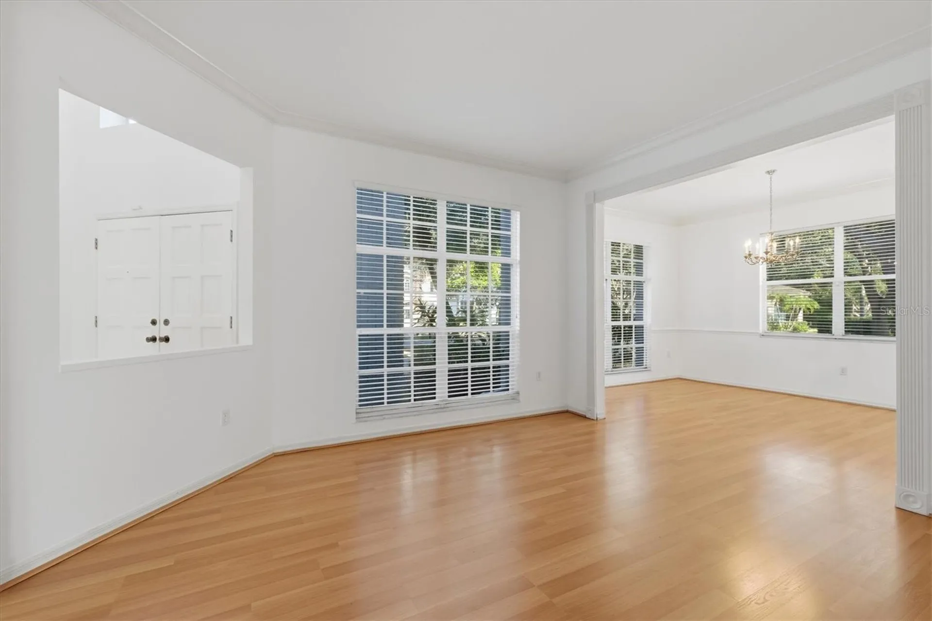 2328 Warwick Drive Oldsmar FL 34677