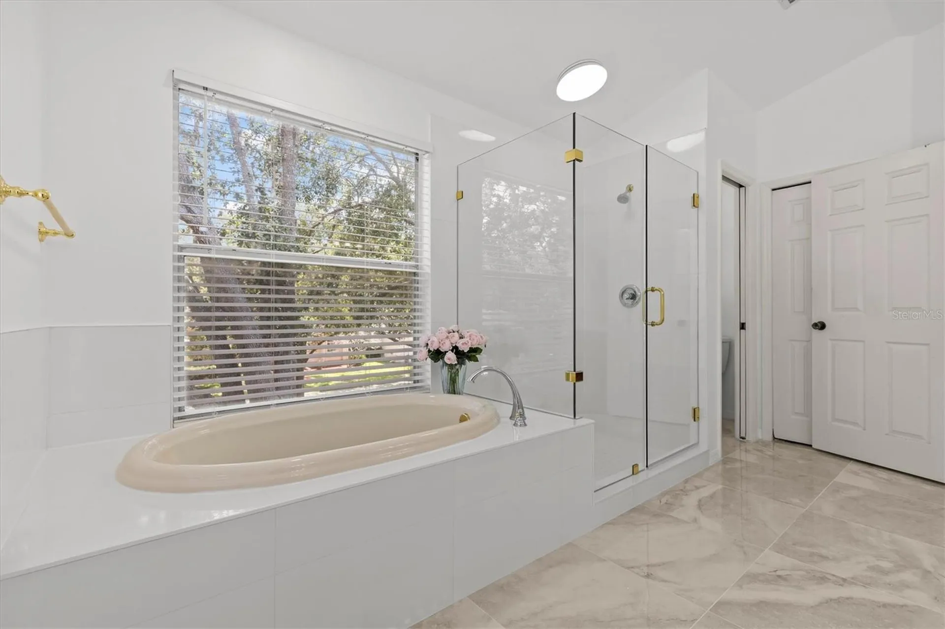 2328 Warwick Drive Oldsmar FL 34677