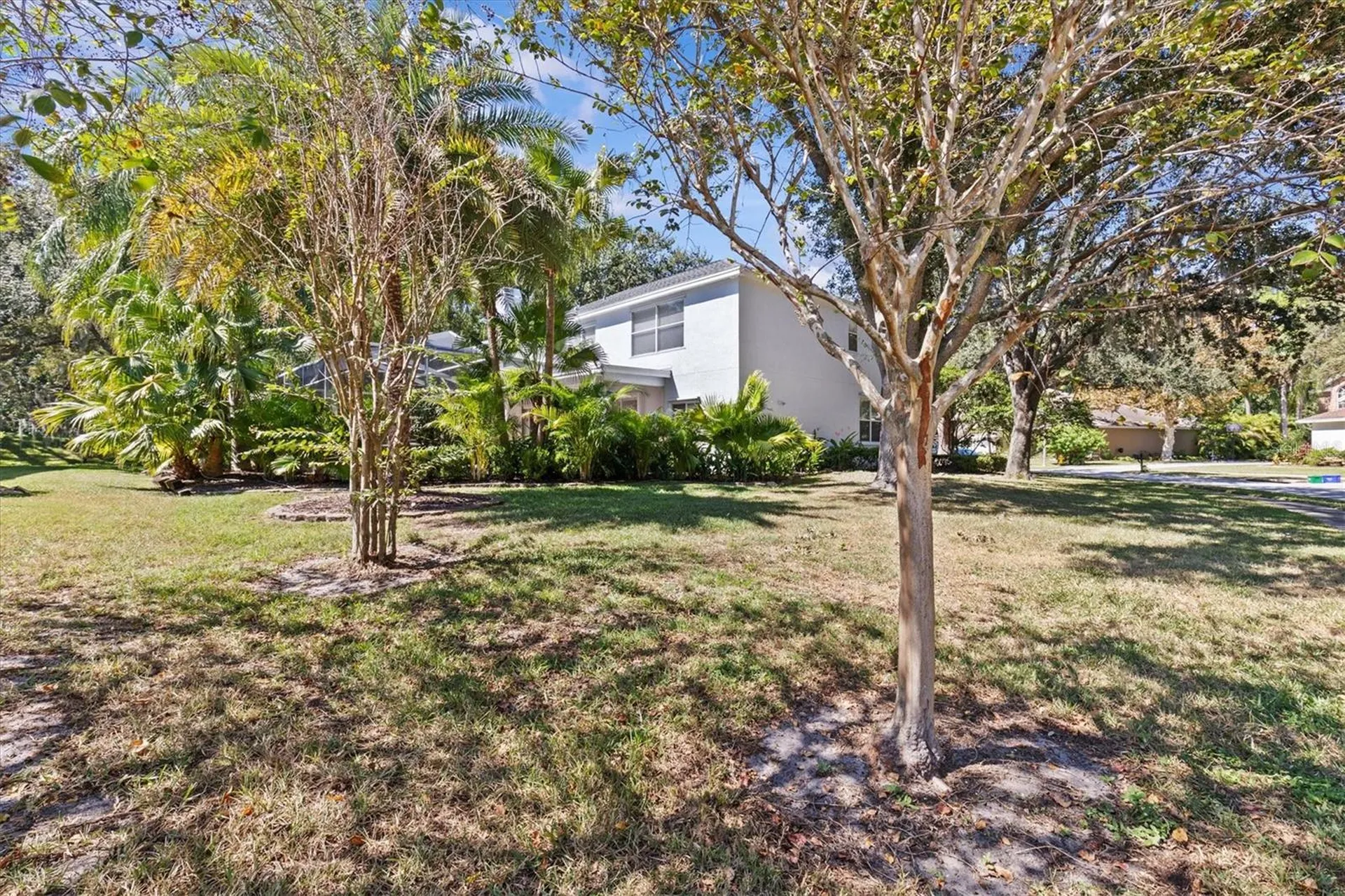 2328 Warwick Drive Oldsmar FL 34677