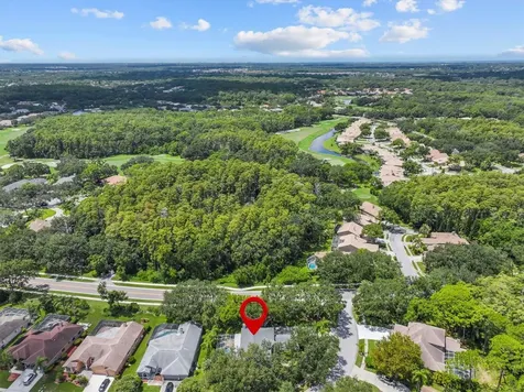 2328 Warwick Drive Oldsmar FL 34677