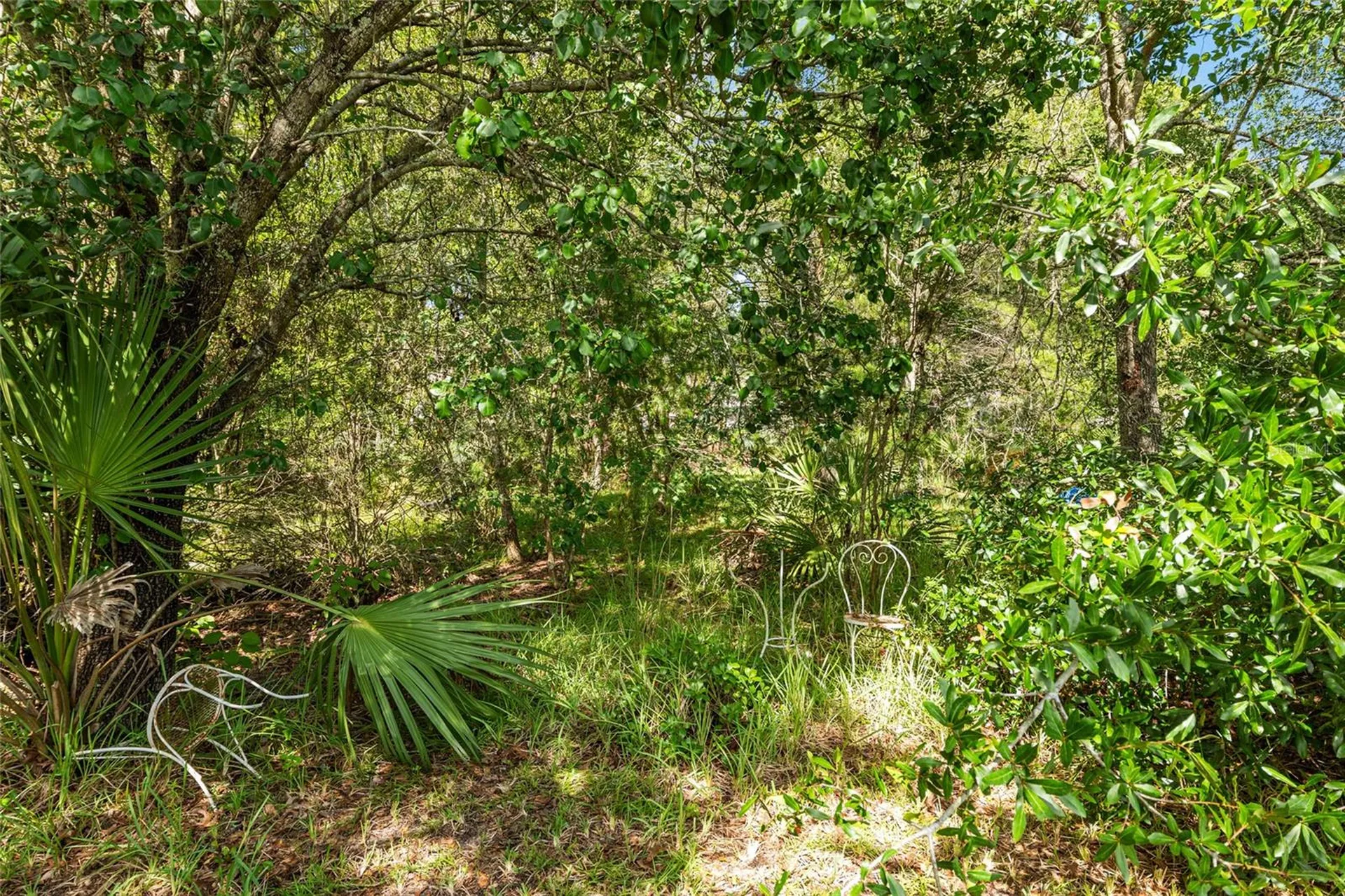 11123 SW 53rd Circle Ocala FL 34476