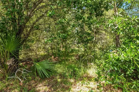 11123 SW 53rd Circle Ocala FL 34476