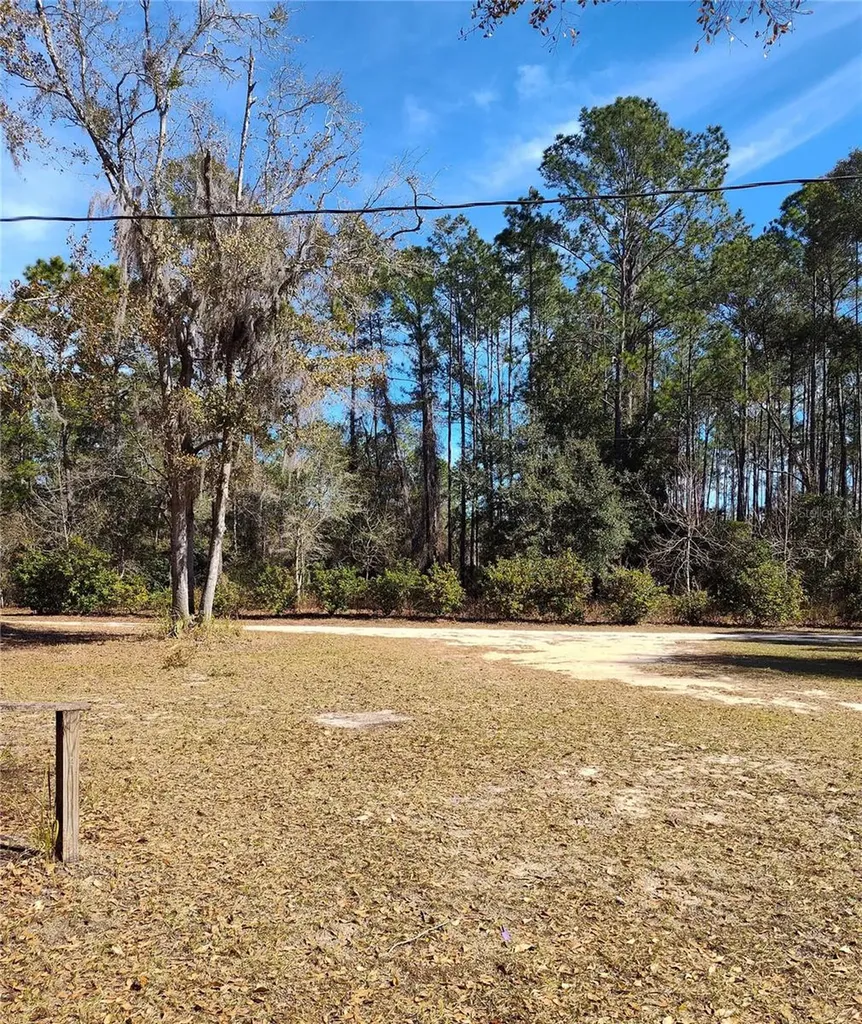 21215 SE 111th Avenue Hawthorne FL 32640