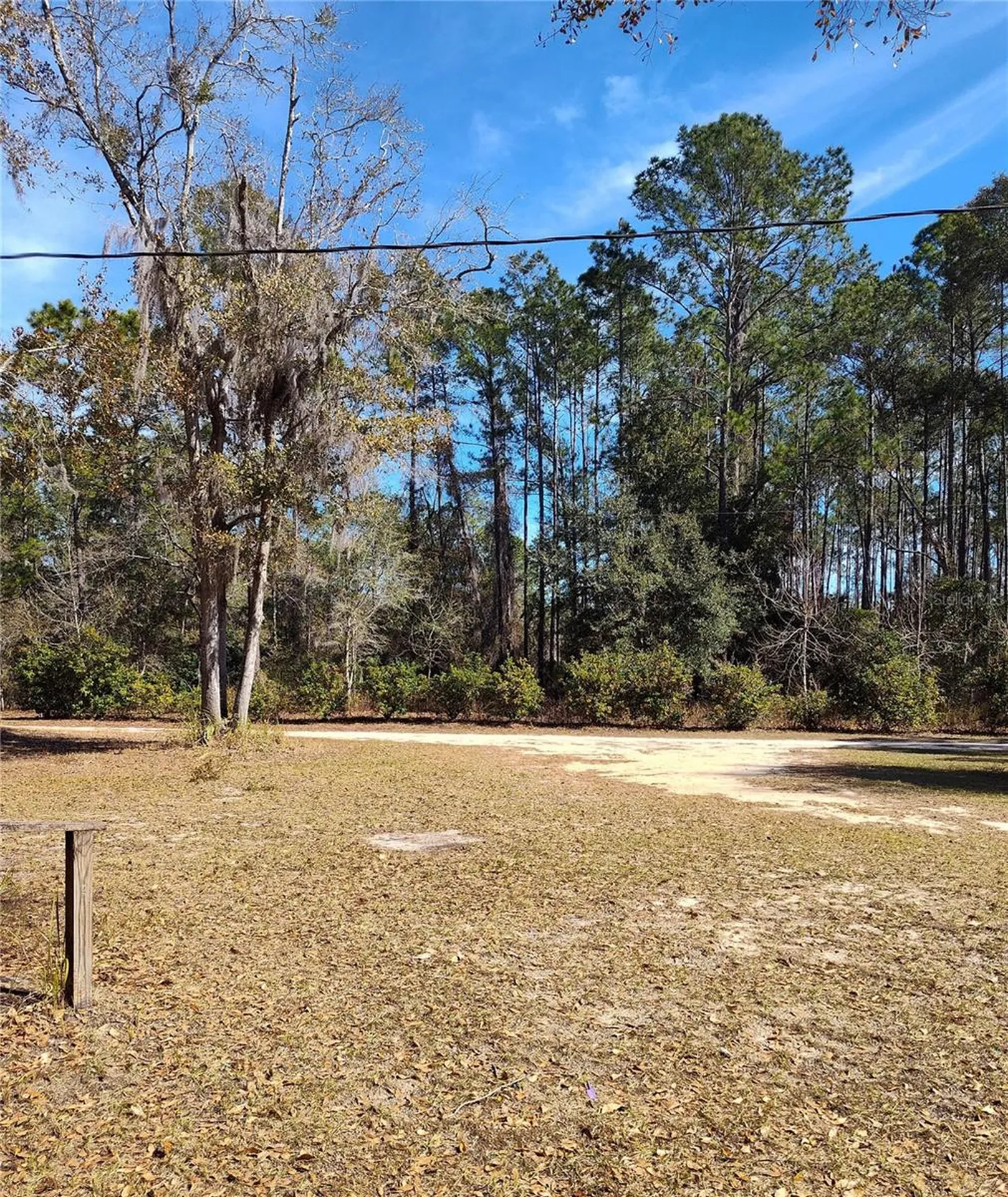 21215 SE 111th Avenue Hawthorne FL 32640