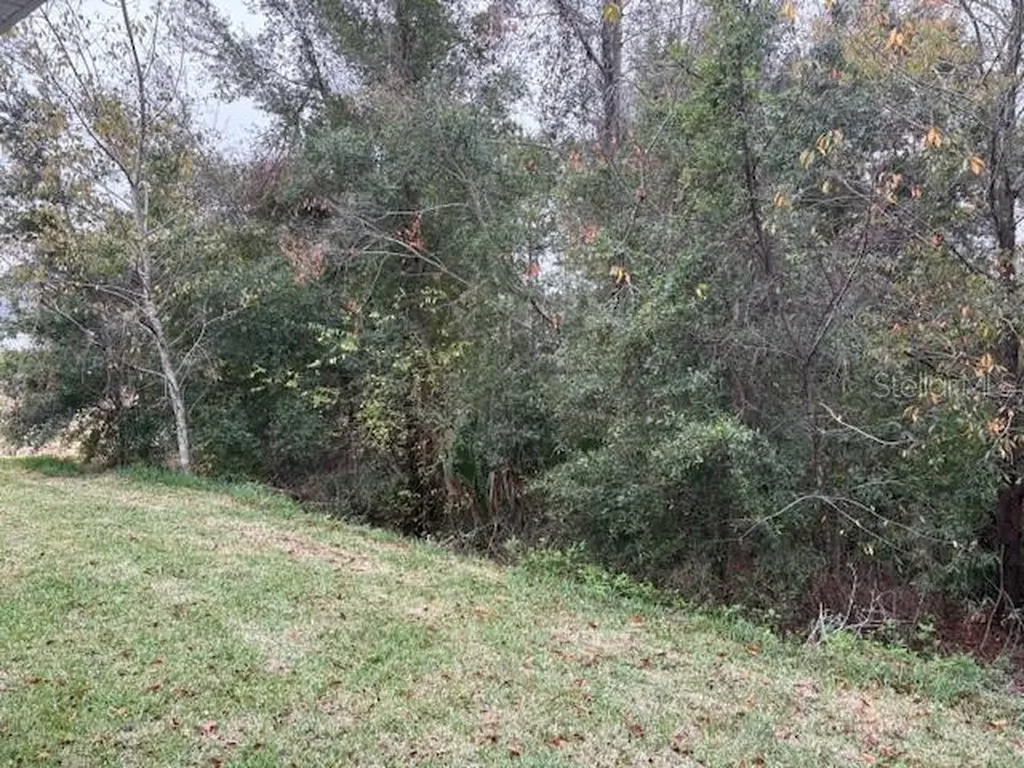6716 SW 179th Avenue Road Dunnellon FL 34432