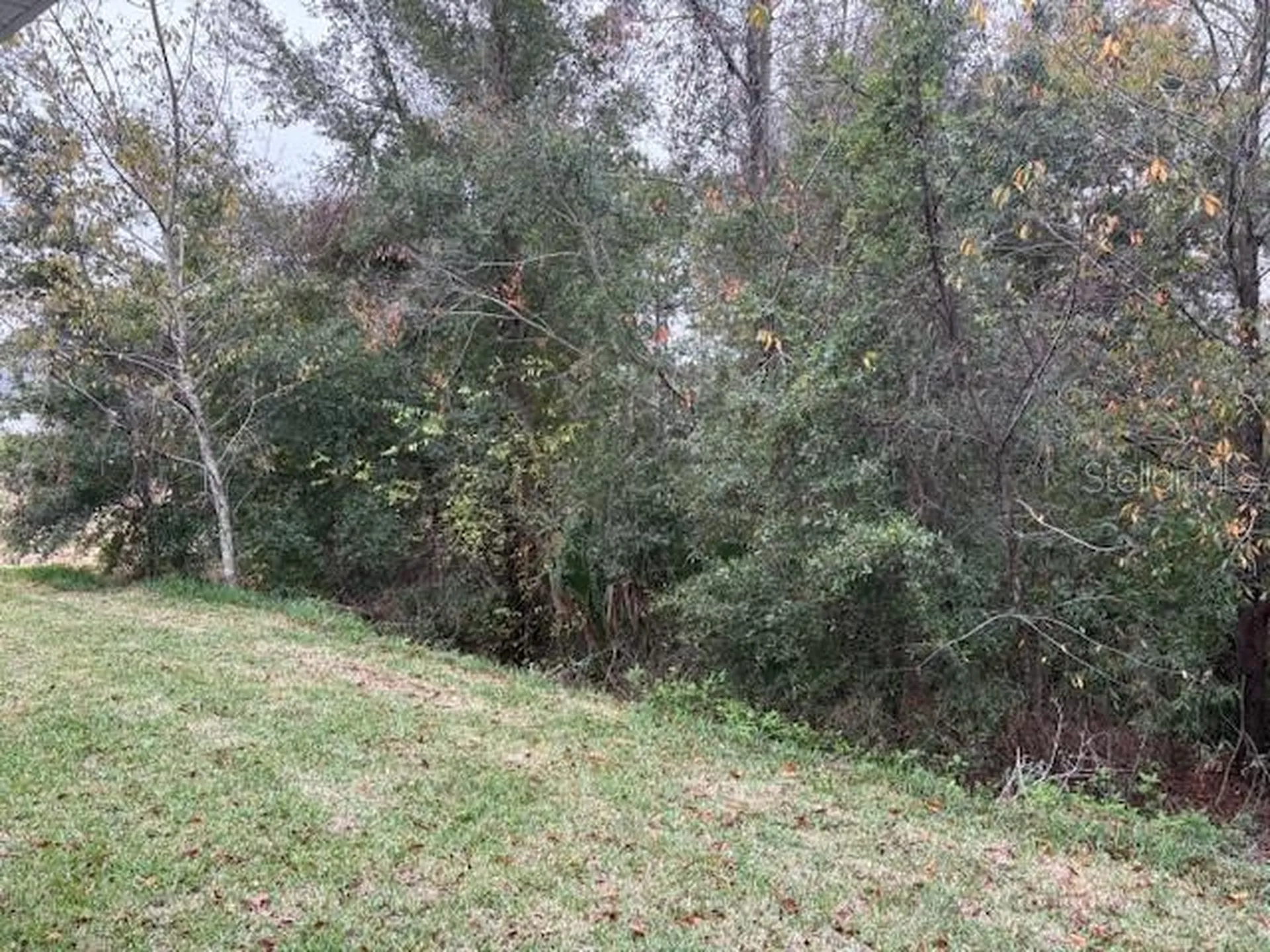 6716 SW 179th Avenue Road Dunnellon FL 34432