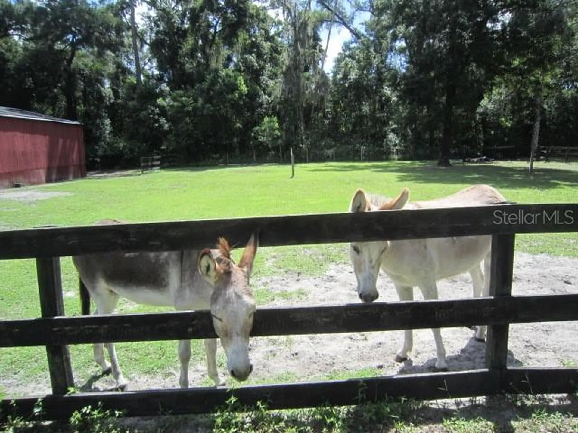 975 Rolling Acres Drive Deland FL 32720