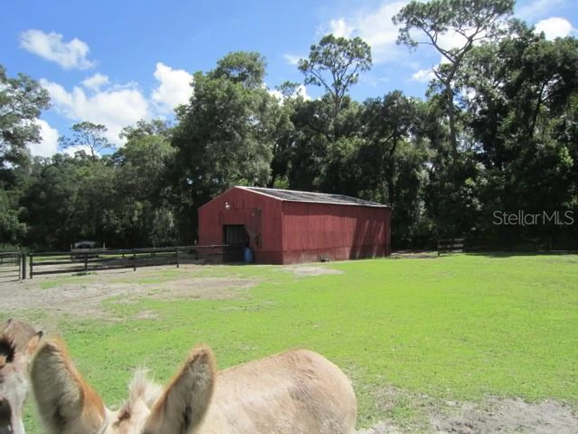 975 Rolling Acres Drive Deland FL 32720