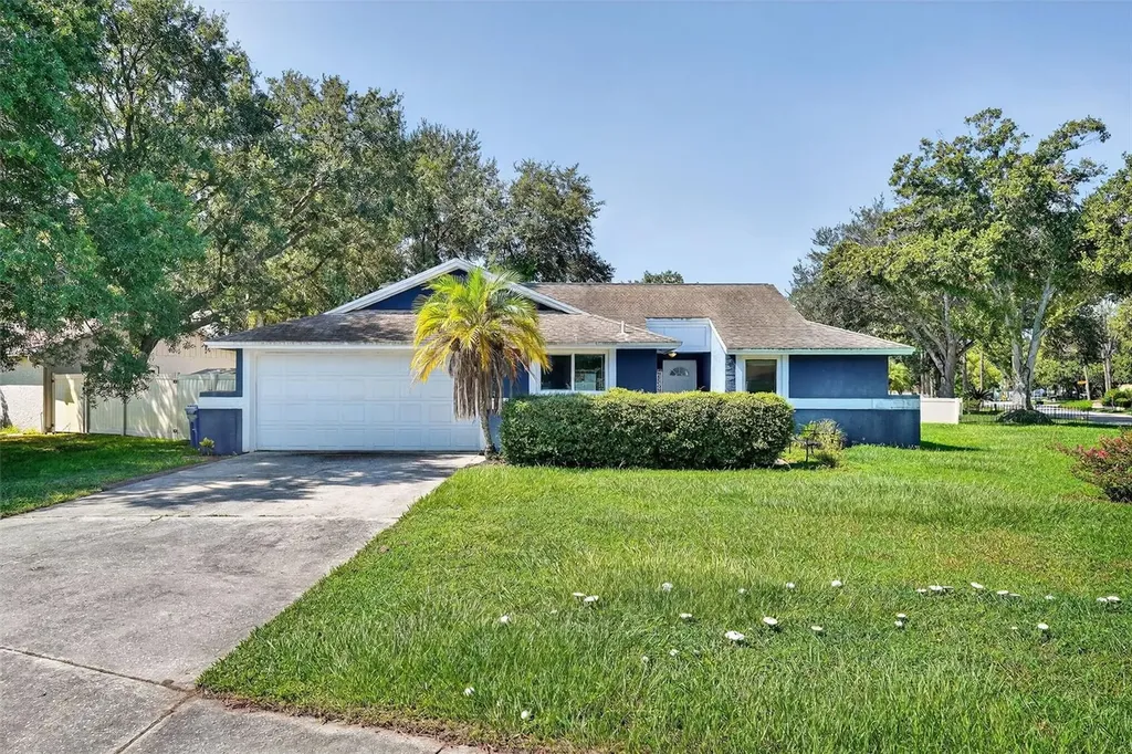 5388 Black Pine Drive Tampa FL 33624