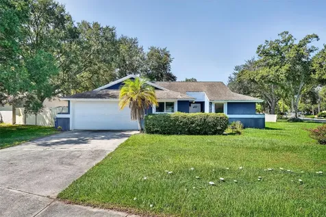 5388 Black Pine Drive Tampa FL 33624