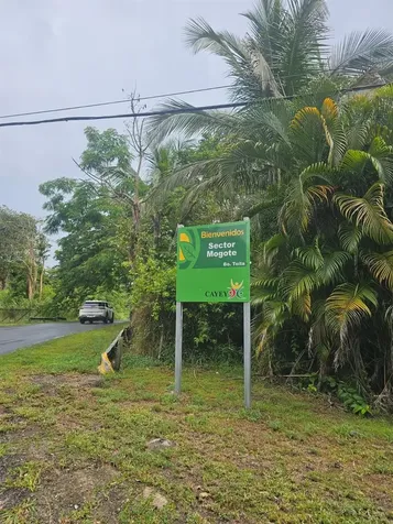 Bo. Toita Sector Mogote Cayey PR 00737