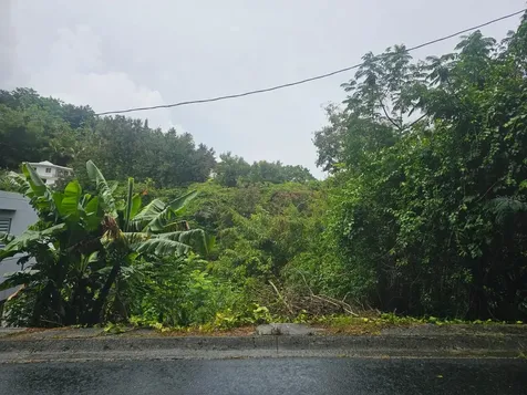 Bo. Toita Sector Mogote Cayey PR 00737