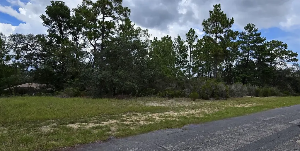 2899 W Santana Drive Citrus Springs FL 34433