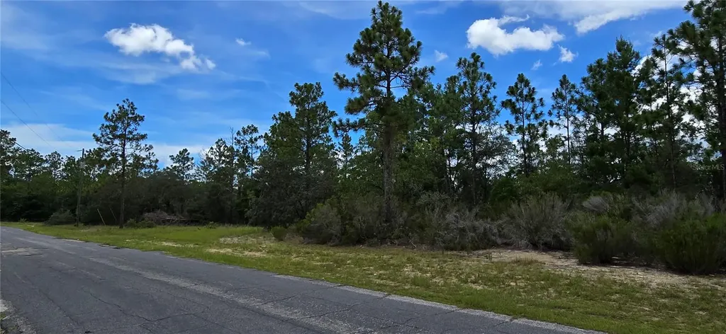 2899 W Santana Drive Citrus Springs FL 34433