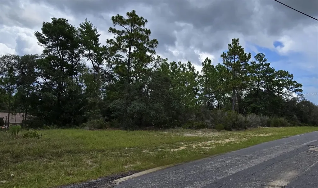 2899 W Santana Drive Citrus Springs FL 34433