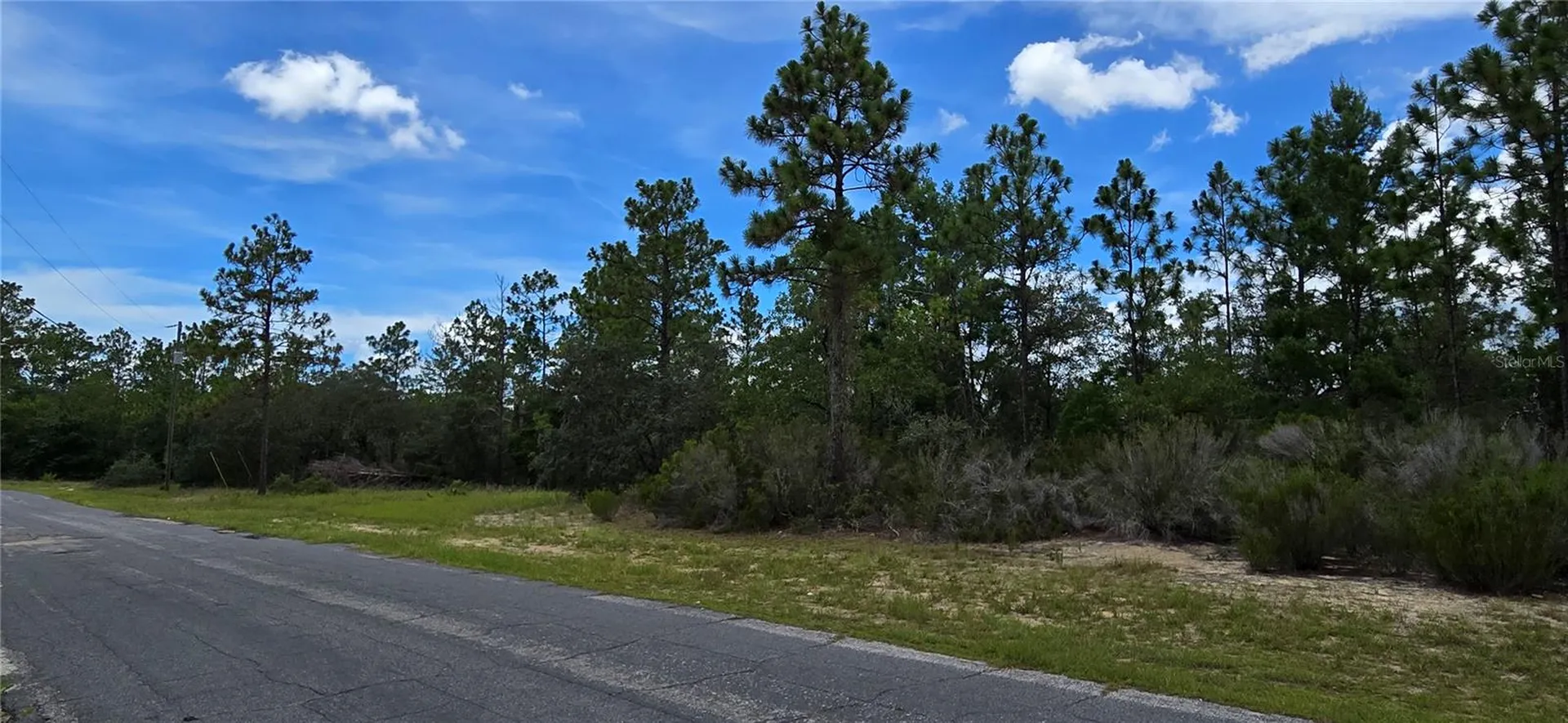 2899 W Santana Drive Citrus Springs FL 34433