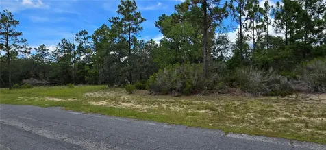 2899 W Santana Drive Citrus Springs FL 34433