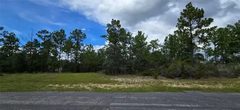 2899 W Santana Drive Citrus Springs FL 34433