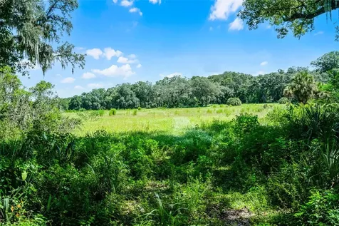 7466 Vivian Lane Orlando FL 32818