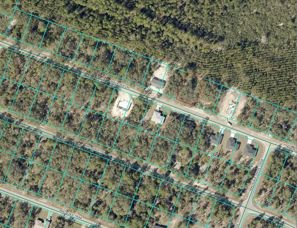 Malauka Lane Ocklawaha FL 32179