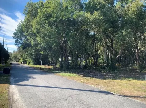 Dvorak Drive Spring Hill FL 34610