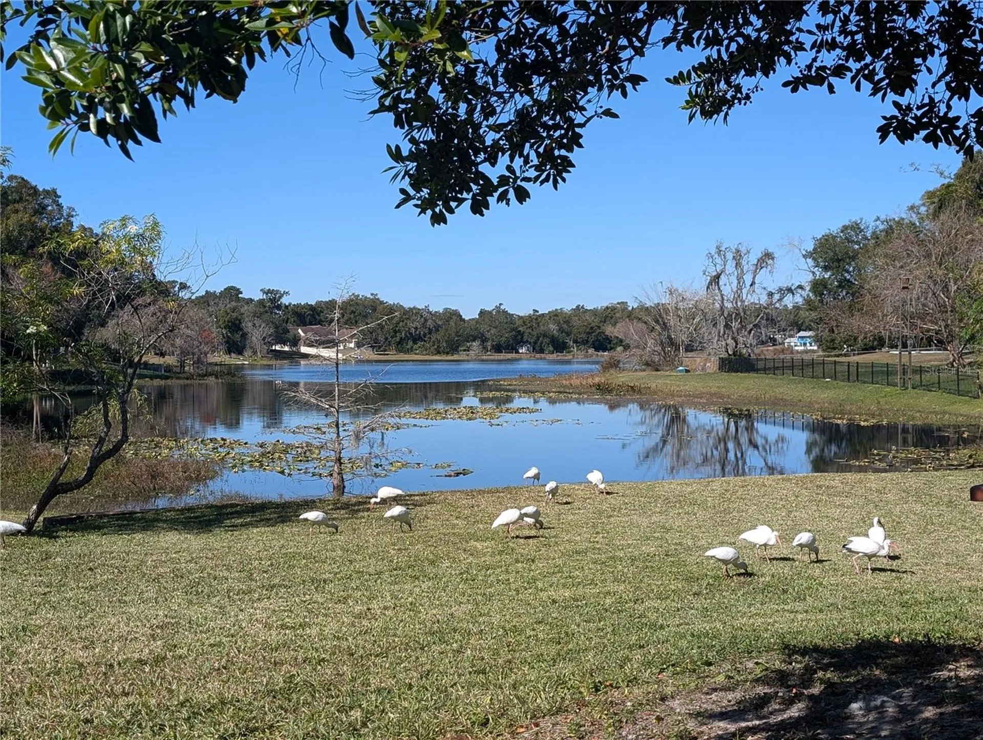 800 Lake Marion Drive Altamonte Springs FL 32701