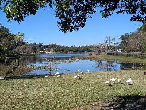 800 Lake Marion Drive Altamonte Springs FL 32701