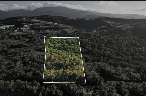 PR-968 Km 2.2 Sector Las Picuas Rio Grande PR 00745