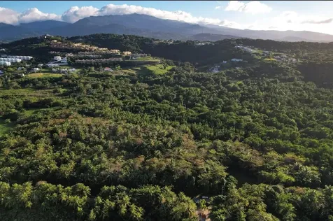 PR-968 Km 2.2 Sector Las Picuas Rio Grande PR 00745