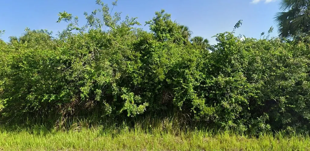 879 Merry Street SW Palm Bay FL 32908