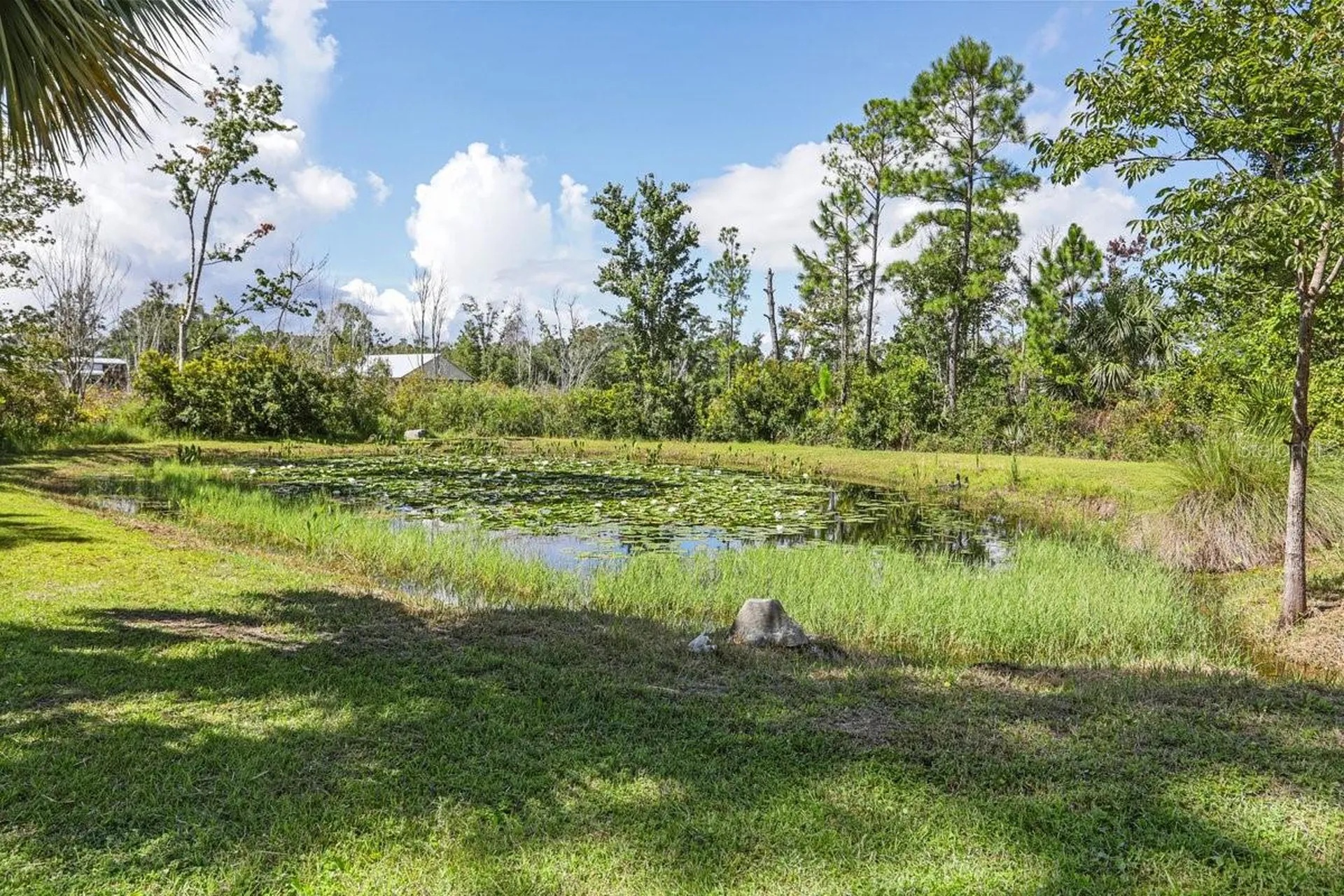 501 NE Duncan Lane NE Steinhatchee FL 32359