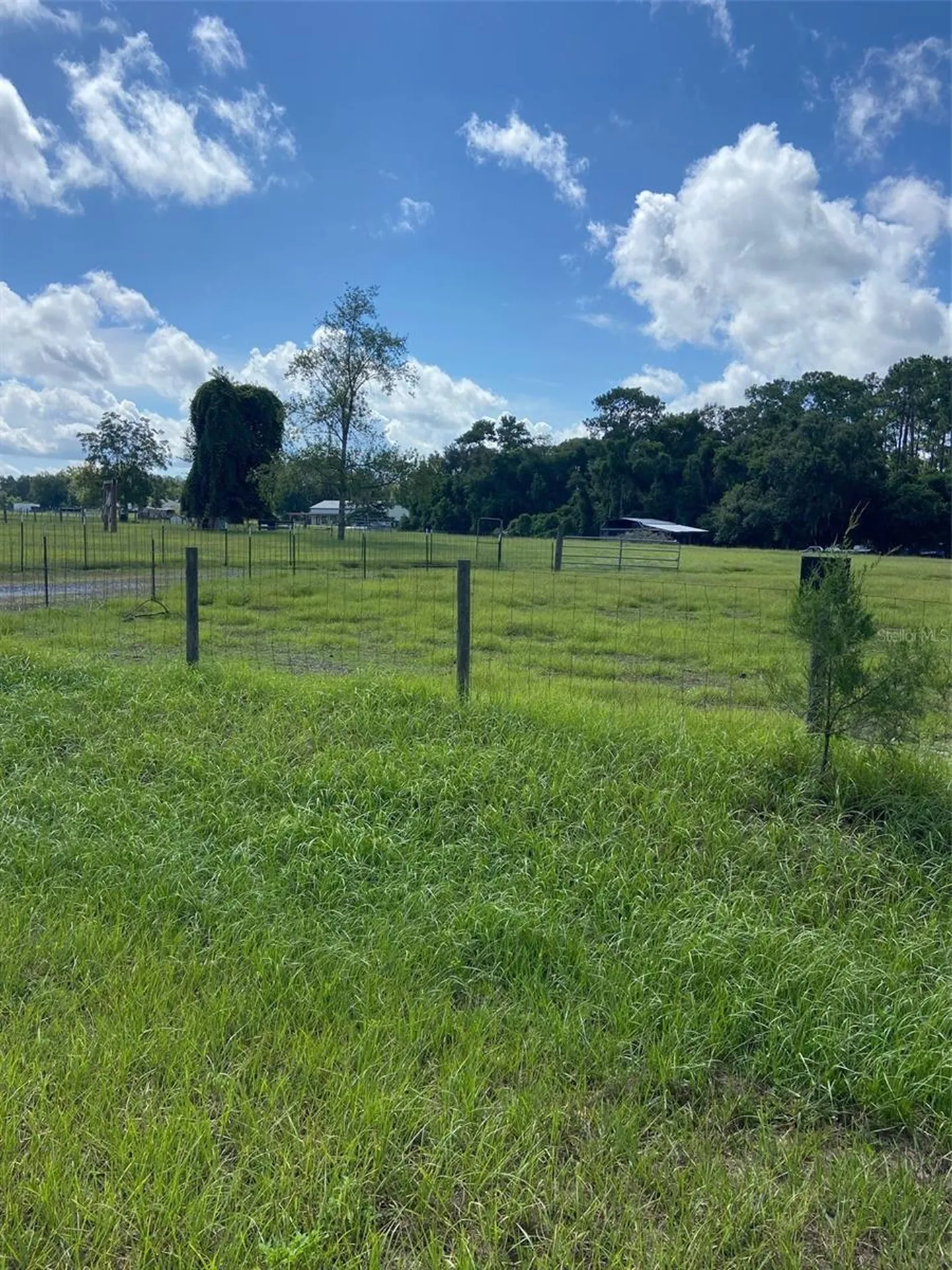 74 Locust Run Ocala FL 34472