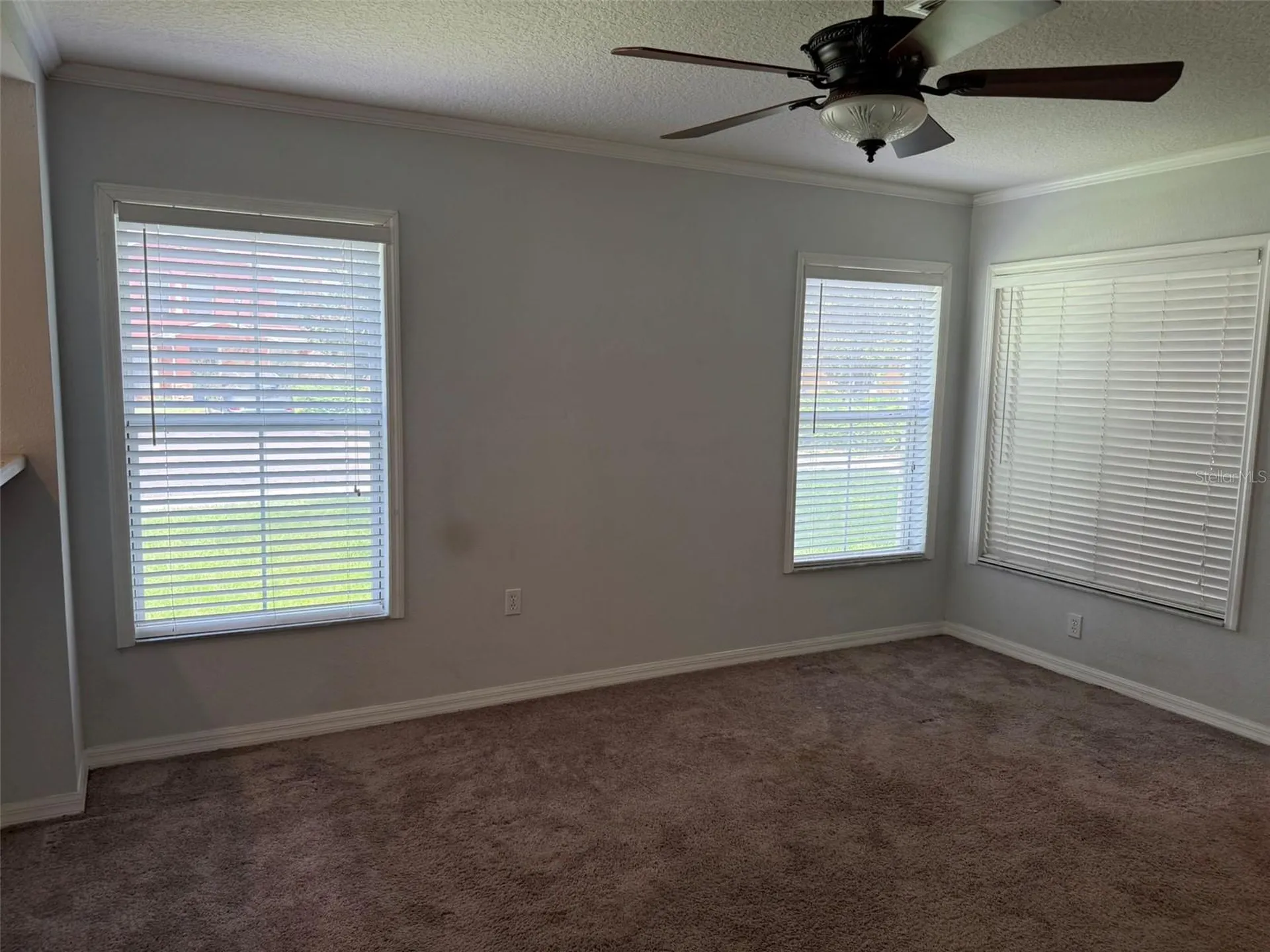 6907 Marble Fawn Place Riverview FL 33578