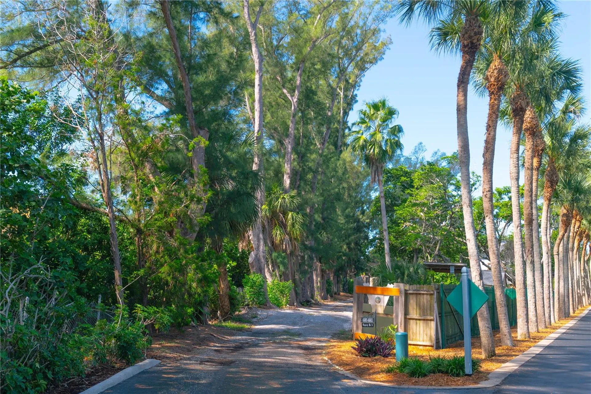 4603 Osprey Drive S St Petersburg FL 33711