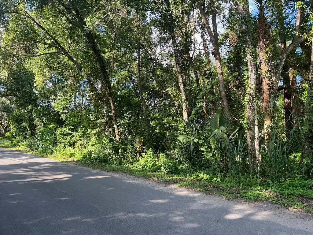 Par Avenue Sorrento FL 32776