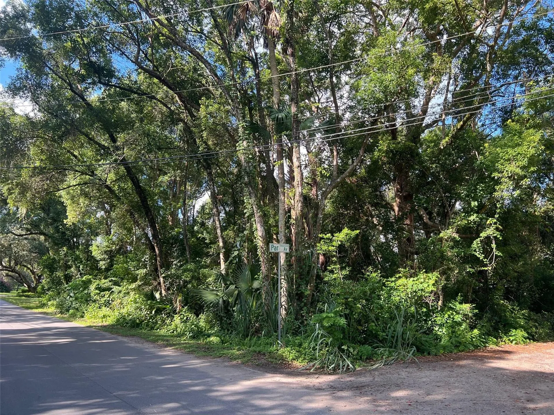 Par Avenue Sorrento FL 32776