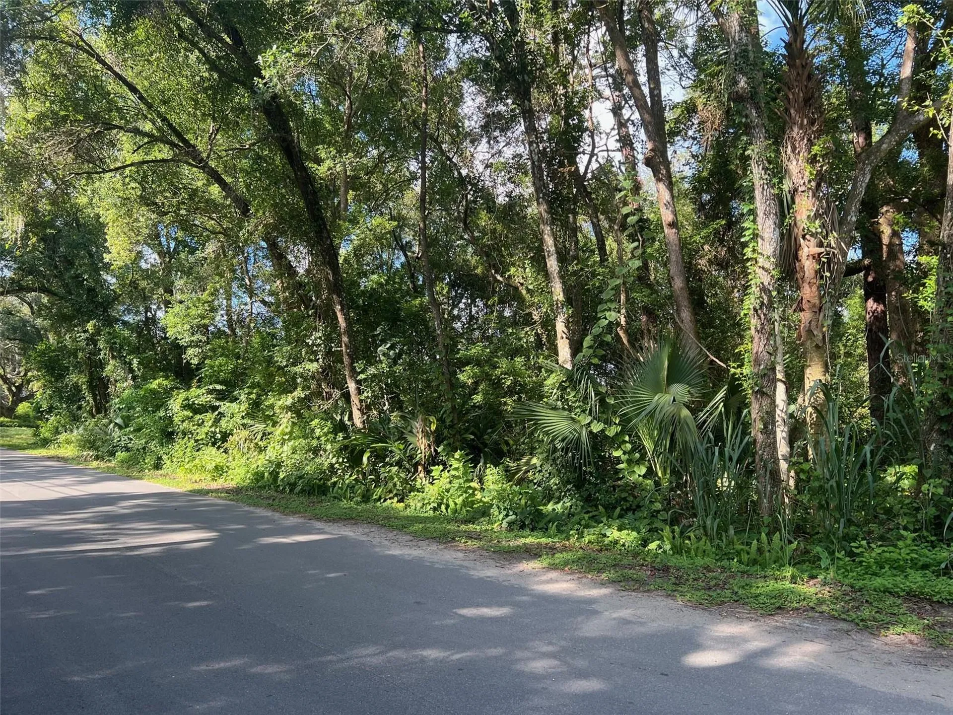 Par Avenue Sorrento FL 32776